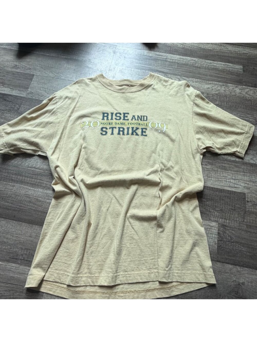 Notre Dame 2009 "Rise And Strike" Football T-Shirt Defend Our Honor Graphic Beig